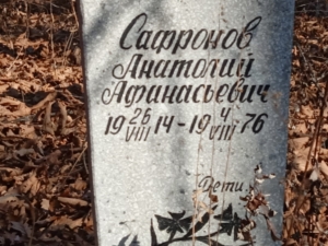 Сафронов Анатолий Афанасьевич