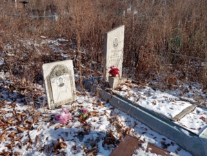 00953b74-a371-4945-8c47-63fde043175e Епимахова Анна Васильевна