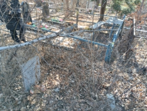 00cb8731-e34f-4a04-903b-596aa6059ed3 Исупова Александра Ивановна