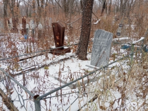 Абдулина Мария Кирилловна