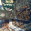 Затрутина Екатерина Федоровна