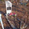 Комаревцев Петр Матвеевич