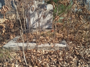 Анипченко Нина Ивановна