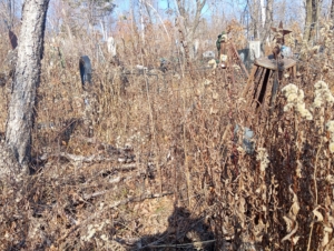 Пенкин Сергей Иванович