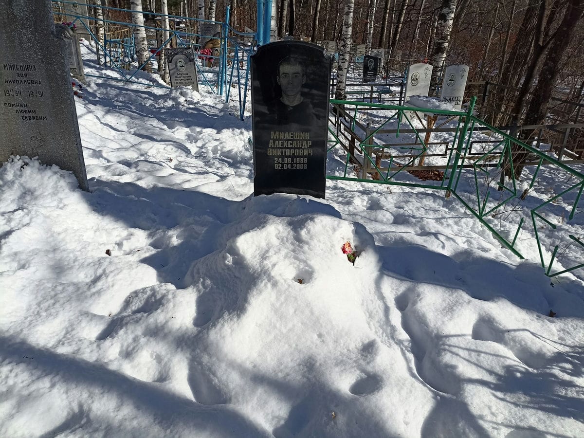 02317a4b-6bdc-4562-a967-865579c97880 Милешин Александр Викторович