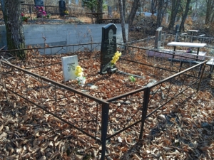0261c687-9f7e-46a8-b265-ee1bb1aef65b Глушенко Василий Григорьевич