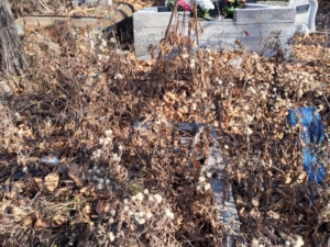 Чернядев Владимир Борисович