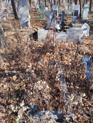 Чернядев Владимир Борисович