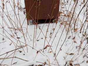 Неизвестно Неизвестно Неизвестно