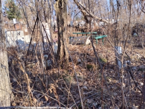 03cd7304-853d-4237-a773-1e78dd513882 Попова Нина Васильевна