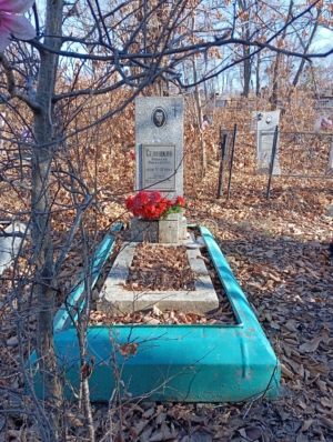 03d79867-652e-492d-a0f4-fb436407db35 Селицкий Николай Николаевич