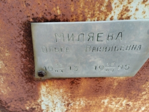 03fb3f60-b66a-4e8f-9ff7-7dd2e029f849 Миляева Ольга Васильевна