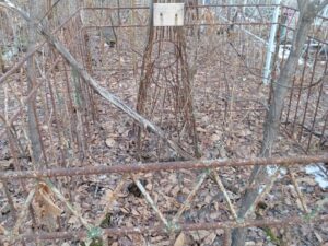 Лебедева Александра Устиновна