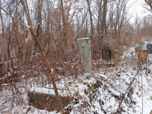 Коляда Евдокия Неизвестно