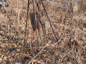 Можарова В Г