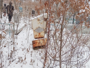 Васильев Александр Юрьевич