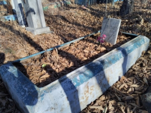 055d74b3-1ee2-4515-a9fd-c6337119fa42 Литвиненко Неизвестно Владимировна
