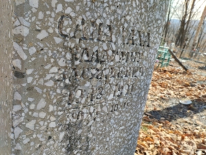 Санадаха Владимир Васильевич