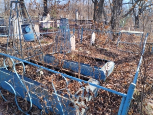 Гаранина Дарья Михайловна