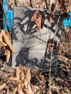 Неизвестно Неизвестно Неизвестно