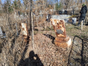 Козлов Юрий Васильевич