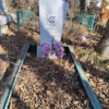 Науменко Никифор Иванович