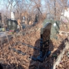 Шахновский Владимир Михайлович