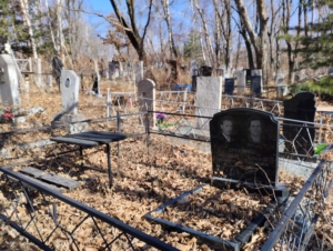 Дроздова Надежда Ивановна