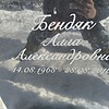 Бендяк Алла Александровна