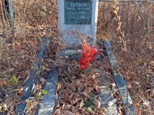 Титков Михаил Иванович