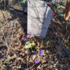 Нестеренко Павел Александрович