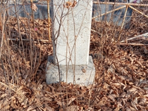 07ad8fd9-ef8e-45c3-b663-4bf27fe09022 Смирнова Прасковья Пантелеевна