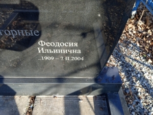 Подгорная Феодосия Ильинична