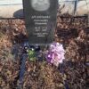 Арсентьева Александра Ивановна