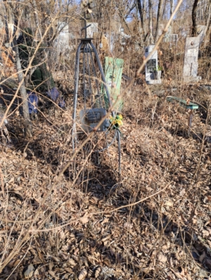 Боцман Варвара Николаевна