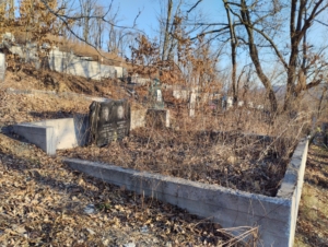 Логинова Вера Дмитриевна