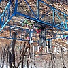 Кравченко Лидия Михайловна
