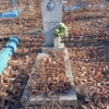 Санжаровский Григорий Александрович