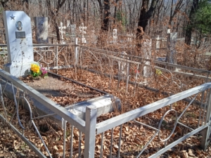 Петрунин Виктор Яковлевич