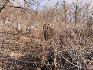 Можарова В Г