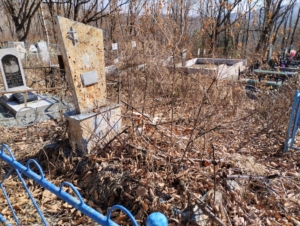 09cef308-e158-43ea-bb69-176690869174 Евдокимова Мария Алексеевна