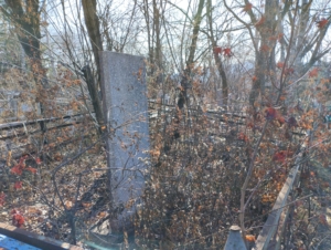 Саин Мирдиан Сафинович