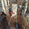 Костин Геннадий Леонидович