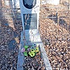 Курашкина Любовь Александровна