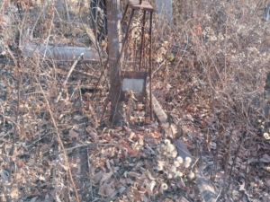 Лебедев Матвей Яковлевич