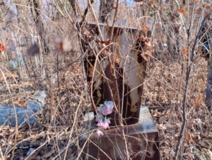 Неизвестно Неизвестно Неизвестно