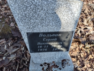 0ac3a4ad-7c22-485f-8d64-99ea3f1dc664 Вольвак Сергей Викторович