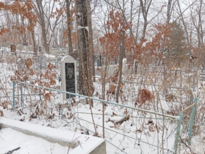 0ae29861-1087-425b-8762-155537005976 Безладный Андрей Викторович