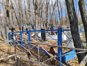 0ae6a014-8018-44e5-8d70-59ea6b5e5d72 Полякова Евдокия Петровна