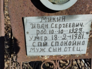0b155d35-a74c-41f2-80de-233743dc4ef9 Микин Иван Сергеевич